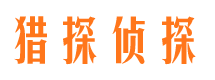 岭东寻人公司